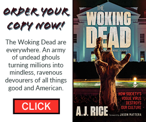 The-Woking-Dead-300-x250.png