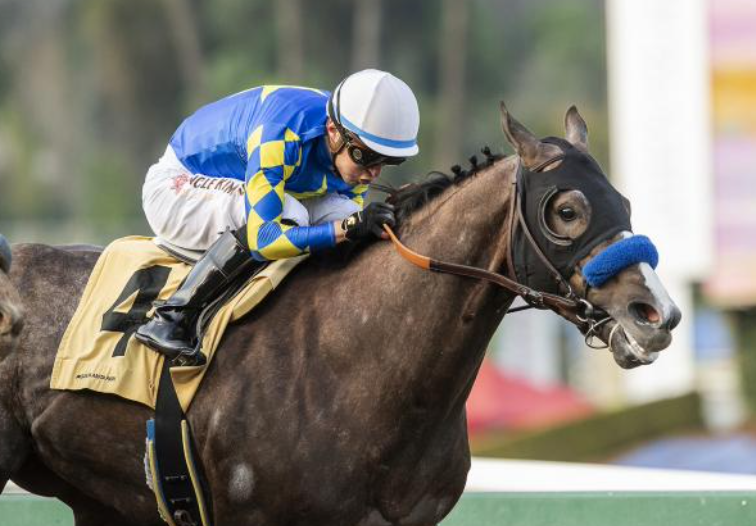 Eleven Derby Hopefuls Clash at Oaklawn in the Mud 