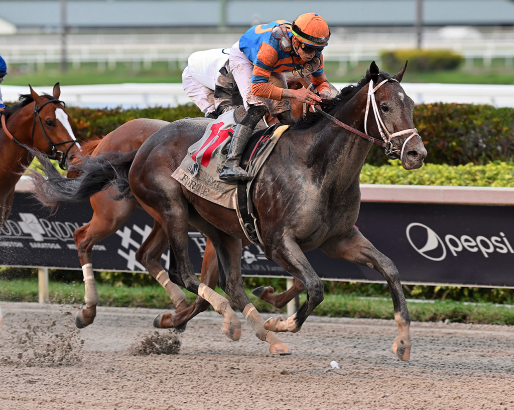 Kentucky Derby Preview and Predictions GODZILLA WINS!