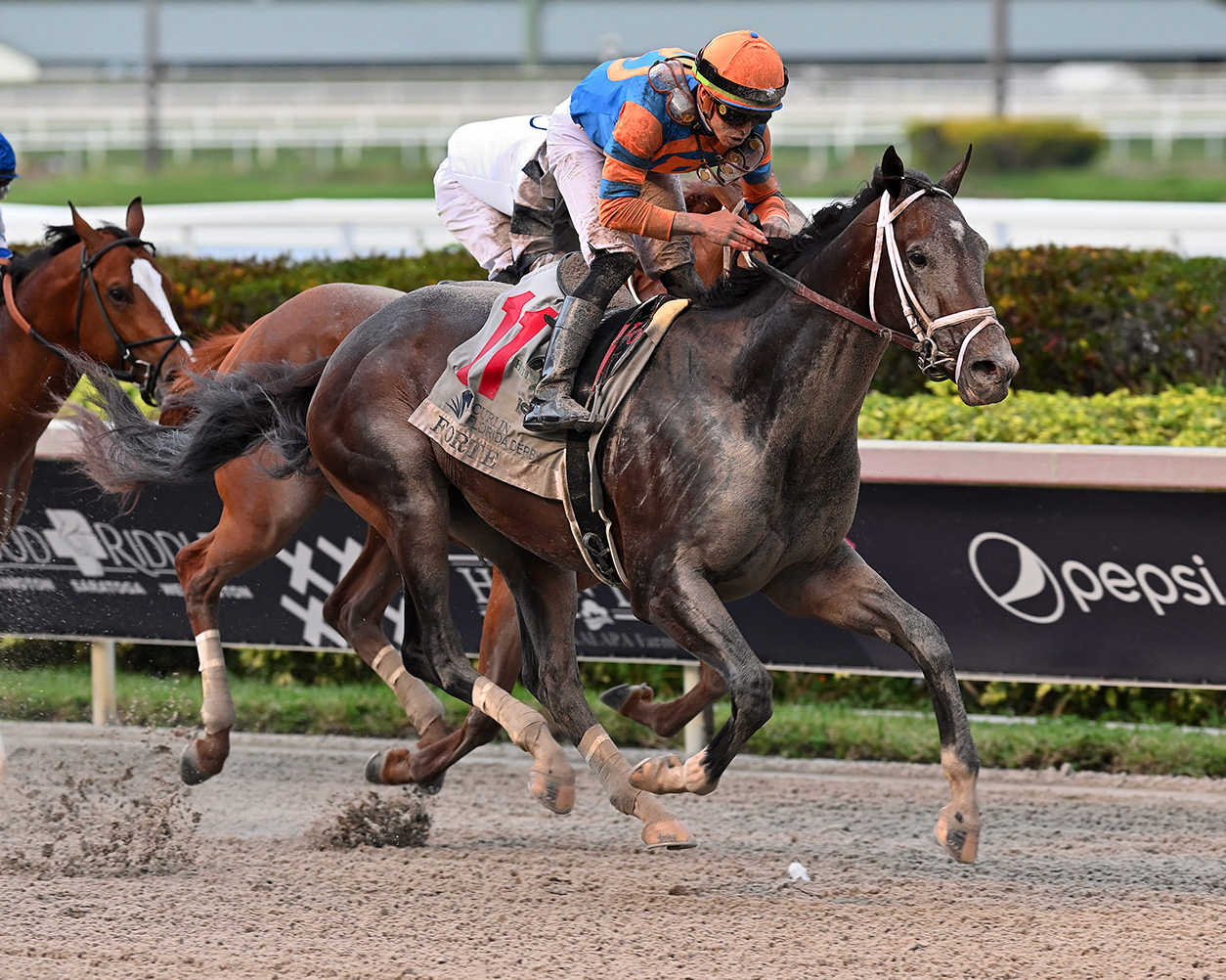 Kentucky Derby Preview and Predictions.