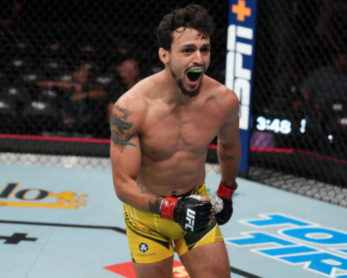 UFC Vegas 79: Three Best Moneyline Bets