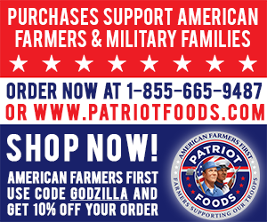 Patriot-Foods-300x250-1.png